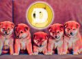 ‘We Need Doge’ – Burger King Twitter Account Wags the Dog, Sends Dogecoin Flying