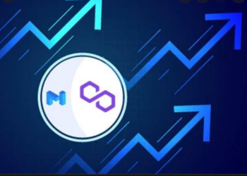 Ex-Ethereum Foundation Developer Joins Polygon