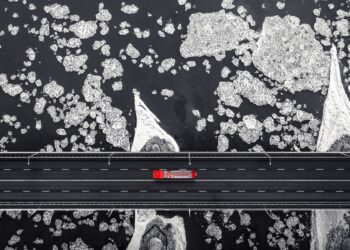 Progressing supply chain resiliency IBM Supply Chain and Blockchain Blog