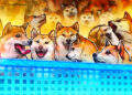 What is Shibarium, and what does it mean for Shiba Inu?