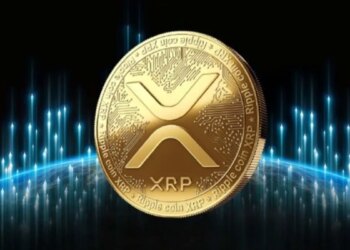 XRP Is Seeing Increased Interest From Retail Investors, Why?