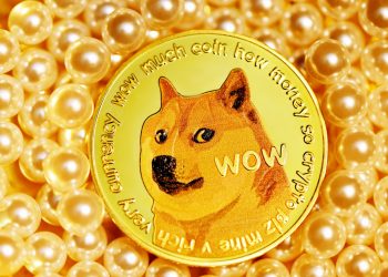 Dogecoin Whale Withdraws $5 Million In DOGE From Binance, Bullish Sign?