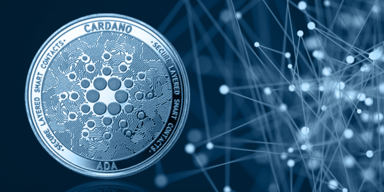 Cardano rises in worlds biggest crypto fund as investors bet big on ADA