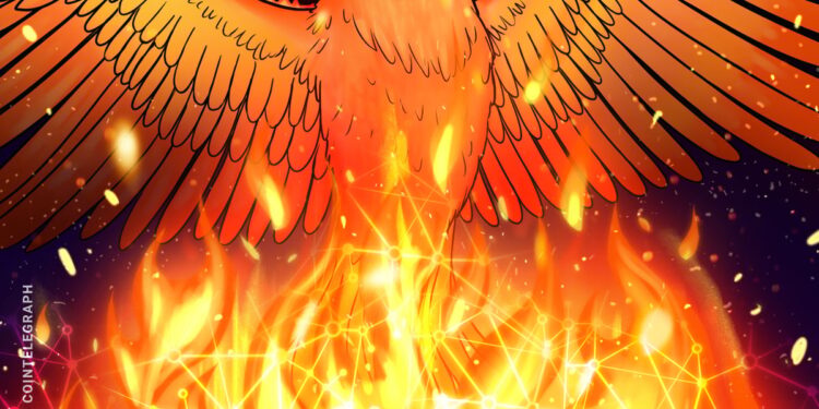 OpenBazaar marketplace says it’s set to ‘grow again from the ashes’