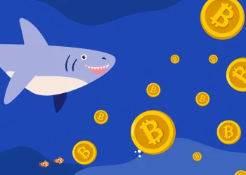 Whales Shift Their Focus to Small-Cap Altcoins; Should Large-Cap Coins be Worried?