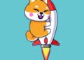 Are Meme Coins like Dogecoin (DOGE) and Shiba Inu (SHIB) just hype? Savvy investors swarm DigiToads (TOADS) Token presale for 700%+ gains