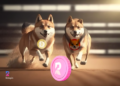 Dogecoin (DOGE) vs Shiba Inu (SHIB), this DeFi token is set to overtake both in terms of Market Cap