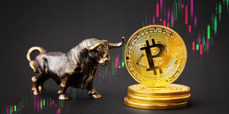 Bitcoin hits the $30k psychological level: is this an opportunity to invest in AltSignals?
