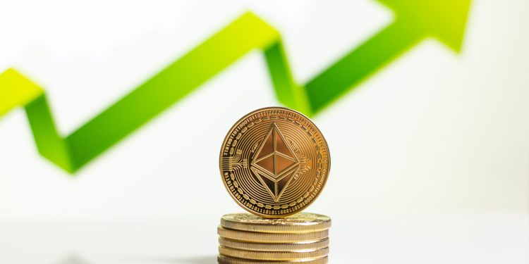 Ethereum Shark & Whale Addresses Up 5.7% Over Past Year: Santiment
