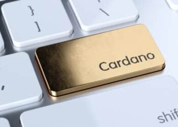 Cardano Blockchain Seeks to Become Largest EVM Chain with This Innovation