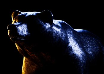 Dogecoin Bears Unshaken Despite Binance Doge Update
