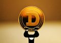Dogecoin Moves Close To Support level, Will The Bulls Defend This Mark?