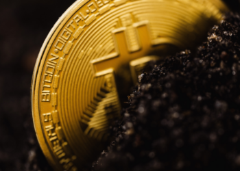 What Is Digital Currency? – Forbes Advisor INDIA