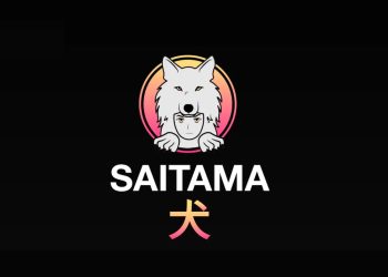 A Journey Into the Meme-Based Digital Currency World