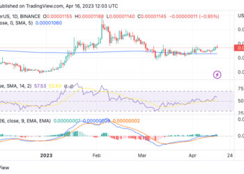 Shiba Inu Price Prediction As SHIB Overtakes Binance USD in Market Cap