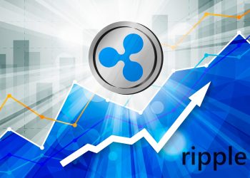 Could DigiToads (TOADS) Surpass Ripple (XRP) and Bitcoin Cash (BCH)? – CryptoMode