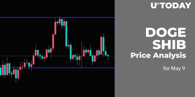 DOGE and SHIB Price Analysis for May 9