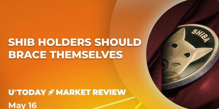 Shiba Inu’s (SHIB) ‘Death Line’ Might Cause True Horror on Market