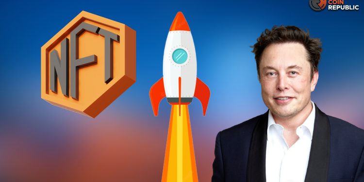 Milady spikes similar to Dogecoin After the Elon Musk’s Tweet