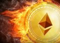 Meme Coins Accelerate ETH Burn Rate, Here Are The Stats