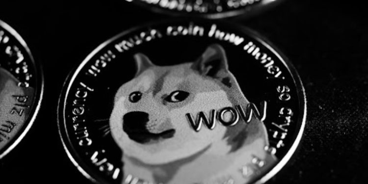 Fantom and Dogecoin holders rush to secure free NFT during Avorak AI ICO