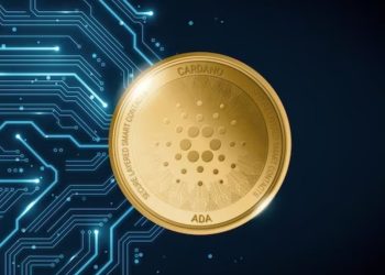 Protecting the future, today: Taking on the fight against crypto fraud