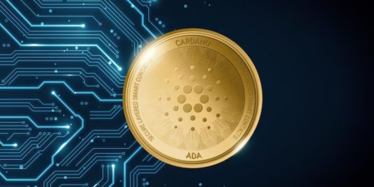 Protecting the future, today: Taking on the fight against crypto fraud