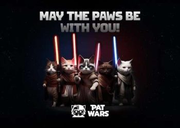 The Effect Retail Investors are Having on The Crypto Market is Huge