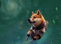 Missed out on Dogecoin? Meet Tradecurve