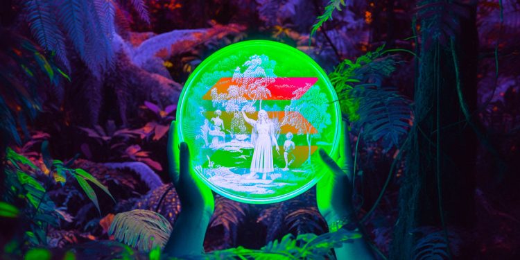 Solana Has Potential To Be the ‘Apple’ of Crypto, According to SOL Co-Founder Raj Gokal