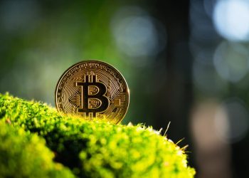 6 Steps For Making Crypto & Blockchain Eco-Friendly