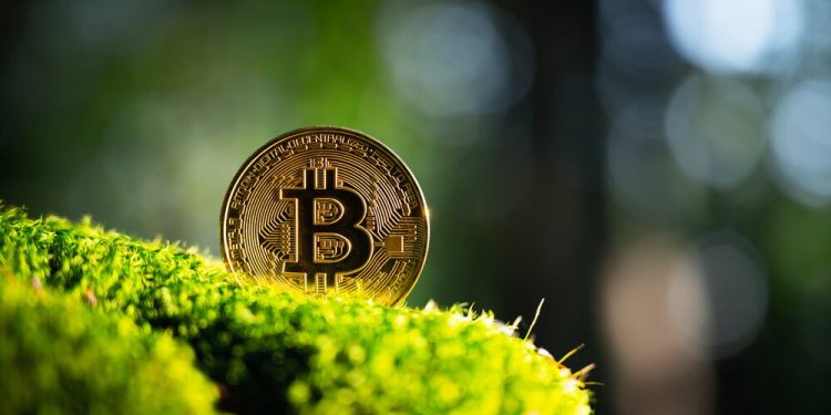 6 Steps For Making Crypto & Blockchain Eco-Friendly