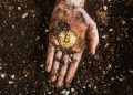 Bitcoin Miners Not Selling Despite Record Fees: Data