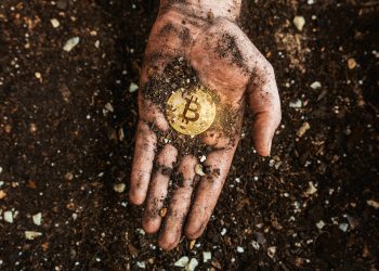 Bitcoin Miners Not Selling Despite Record Fees: Data