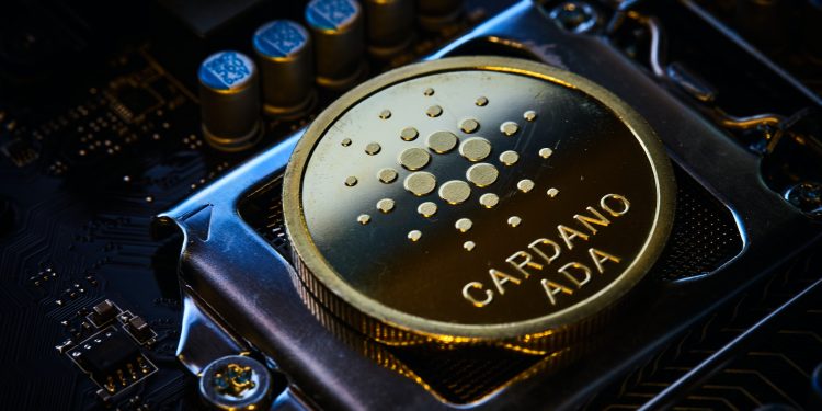 Cardano DeFi Steals The Show, Outperforms The Market With Explosive Transaction Growth