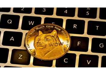 Is DigiToads (TOADS) The New Meme Coin King? TOADS attracts more news investors than Dogecoin (DOGE)