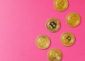 Prominent Crypto Trader Drops Shocking Bitcoin Price Prediction