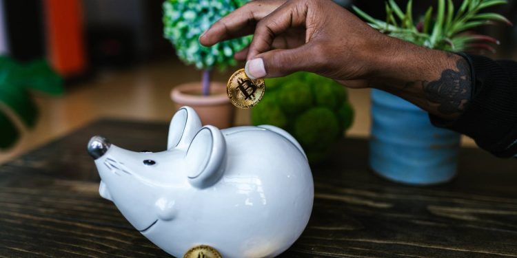 Exploring the Best Cryptocurrencies Beyond BTC