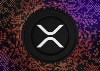 Ripple CEO Thanks Community , As Crucial Court Ruling Looms