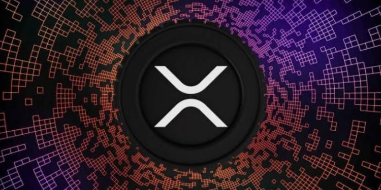 Ripple CEO Thanks Community , As Crucial Court Ruling Looms