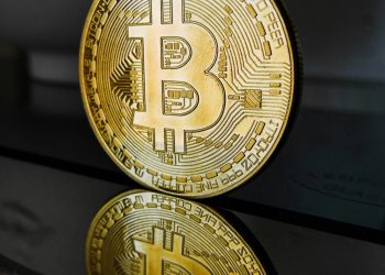 Bitcoin On-Chain Transactions Reach New Heights, What’s Fueling the Surge?