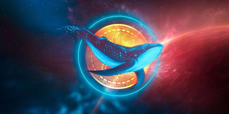 Crypto Whales Started Accumulating These Lesser-Known Altcoins