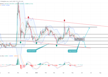 Will $DOGE Price Break $0.1 In June?