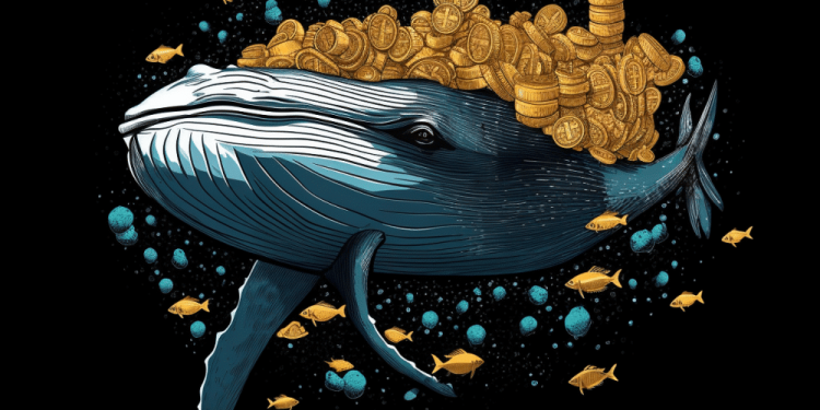 Why Bitcoin’s future rests on whale accumulation