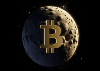 Bitcoin dominance hits 50% for first time in 2 years