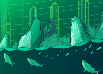 Bitcoin: Whale accumulation raises hopes of bull rally