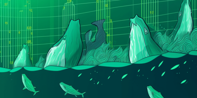 Bitcoin: Whale accumulation raises hopes of bull rally