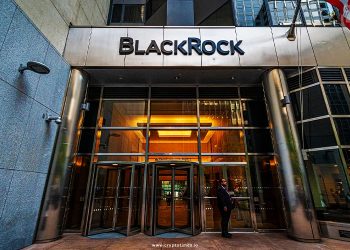 BlackRock’s Crypto Perspective – DeFi Faces a Long Wait