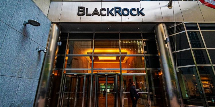 BlackRock’s Crypto Perspective – DeFi Faces a Long Wait