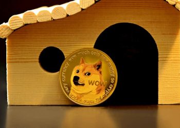 Is It Too Late to Buy Dogecoin? 5 Best Cryptos to Buy Instead